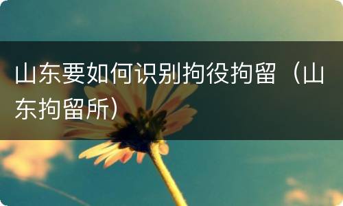 山东要如何识别拘役拘留（山东拘留所）