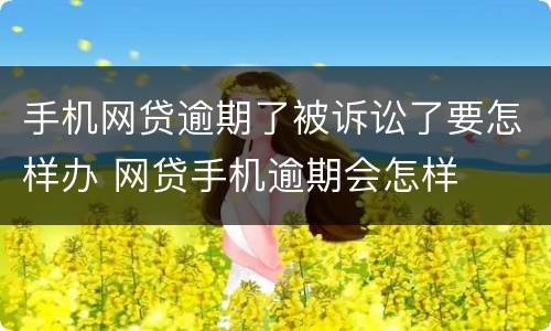 手机网贷逾期了被诉讼了要怎样办 网贷手机逾期会怎样