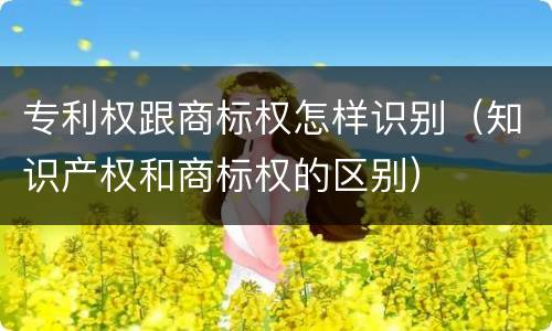 专利权跟商标权怎样识别（知识产权和商标权的区别）