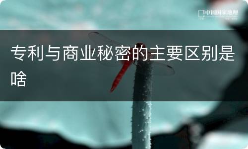 专利与商业秘密的主要区别是啥