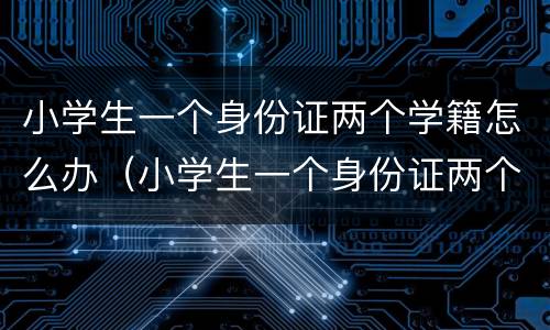 小学生一个身份证两个学籍怎么办（小学生一个身份证两个学籍怎么办理）