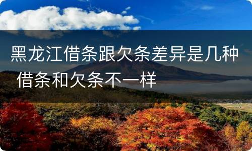 黑龙江借条跟欠条差异是几种 借条和欠条不一样
