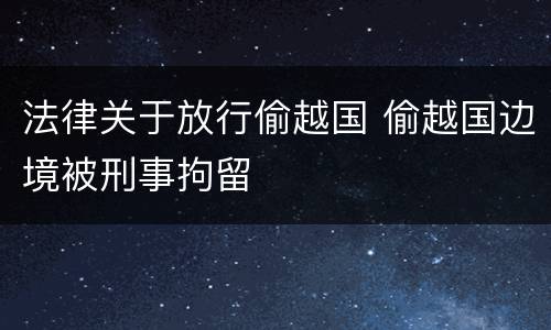 法律关于放行偷越国 偷越国边境被刑事拘留