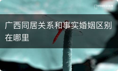广西同居关系和事实婚姻区别在哪里