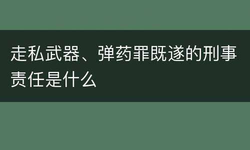 走私武器、弹药罪既遂的刑事责任是什么