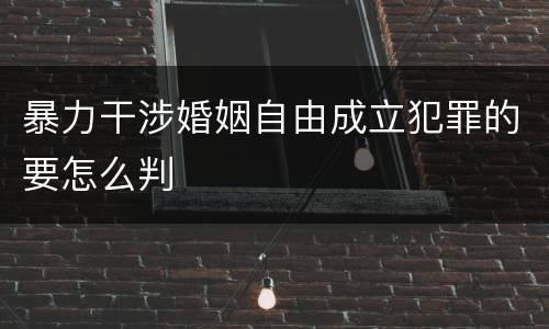 暴力干涉婚姻自由成立犯罪的要怎么判
