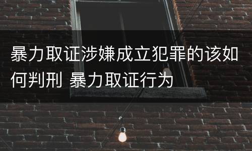 暴力取证涉嫌成立犯罪的该如何判刑 暴力取证行为