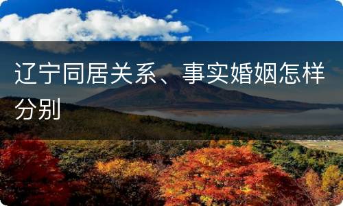 辽宁同居关系、事实婚姻怎样分别