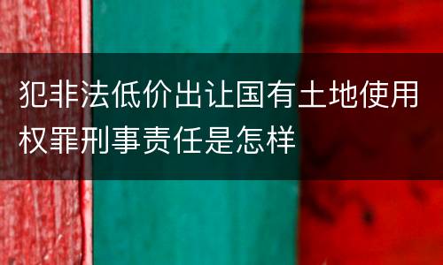 犯非法低价出让国有土地使用权罪刑事责任是怎样