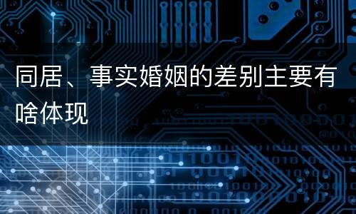 同居、事实婚姻的差别主要有啥体现