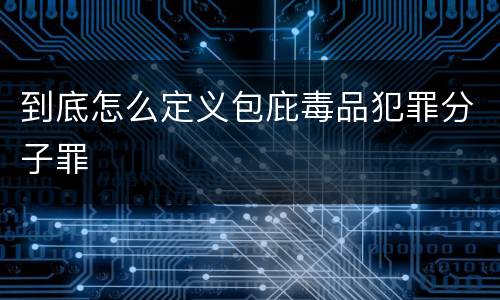 到底怎么定义包庇毒品犯罪分子罪