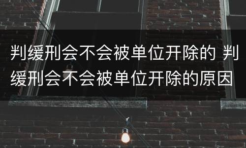 判缓刑会不会被单位开除的 判缓刑会不会被单位开除的原因