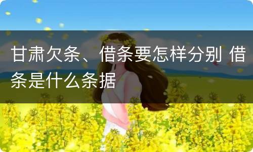 甘肃欠条、借条要怎样分别 借条是什么条据