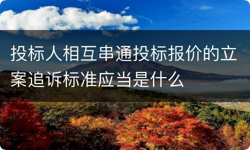 投标人相互串通投标报价的立案追诉标准应当是什么