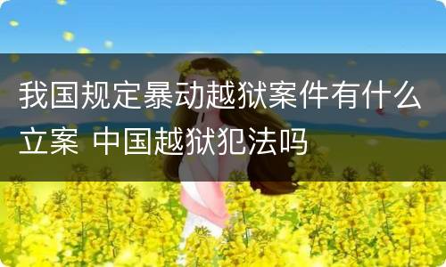 我国规定暴动越狱案件有什么立案 中国越狱犯法吗