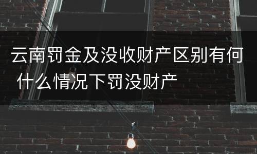 云南罚金及没收财产区别有何 什么情况下罚没财产