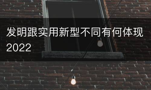 发明跟实用新型不同有何体现2022