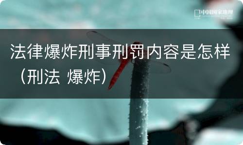 法律爆炸刑事刑罚内容是怎样（刑法 爆炸）