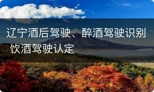 辽宁酒后驾驶、醉酒驾驶识别 饮酒驾驶认定