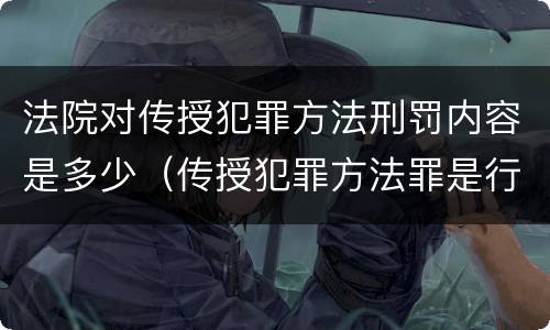 法院对传授犯罪方法刑罚内容是多少（传授犯罪方法罪是行为犯）