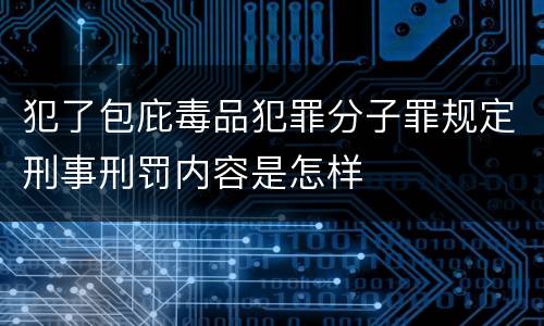犯了包庇毒品犯罪分子罪规定刑事刑罚内容是怎样