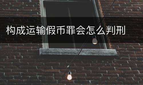 构成运输假币罪会怎么判刑