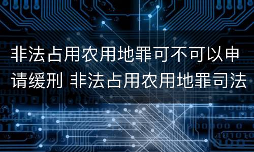非法占用农用地罪可不可以申请缓刑 非法占用农用地罪司法建议