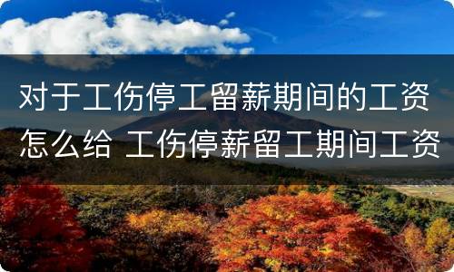 对于工伤停工留薪期间的工资怎么给 工伤停薪留工期间工资怎么发放