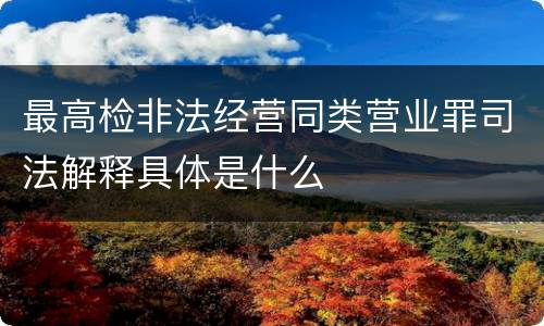 最高检非法经营同类营业罪司法解释具体是什么