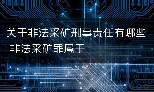 关于非法采矿刑事责任有哪些 非法采矿罪属于