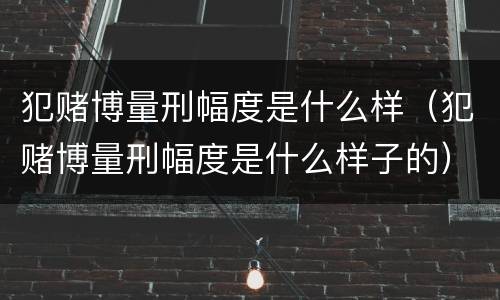 犯赌博量刑幅度是什么样（犯赌博量刑幅度是什么样子的）