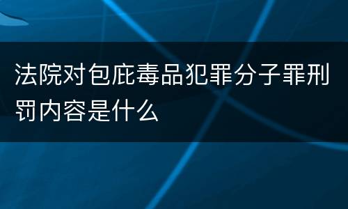 法院对包庇毒品犯罪分子罪刑罚内容是什么