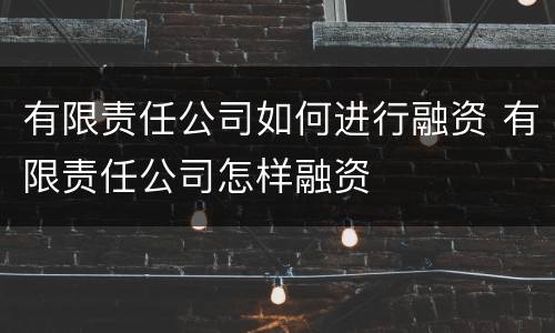 有限责任公司如何进行融资 有限责任公司怎样融资