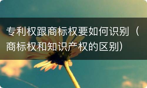 专利权跟商标权要如何识别（商标权和知识产权的区别）
