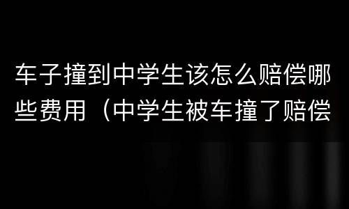 车子撞到中学生该怎么赔偿哪些费用（中学生被车撞了赔偿标准）