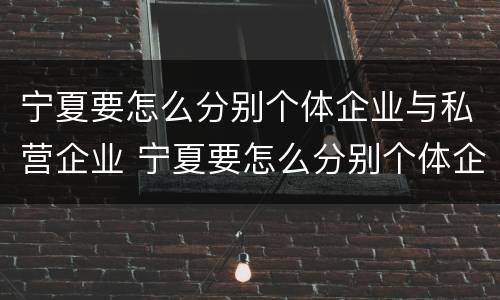 宁夏要怎么分别个体企业与私营企业 宁夏要怎么分别个体企业与私营企业合作