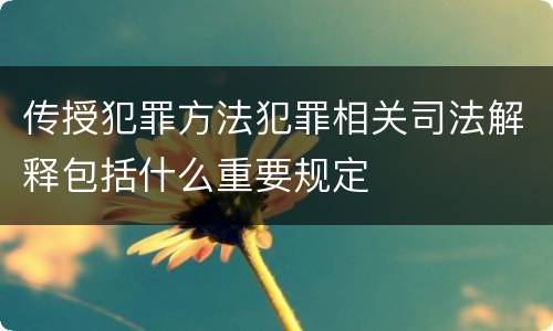 传授犯罪方法犯罪相关司法解释包括什么重要规定