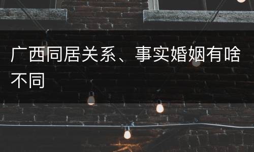 广西同居关系、事实婚姻有啥不同
