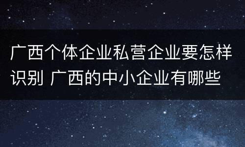 广西个体企业私营企业要怎样识别 广西的中小企业有哪些