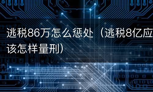 逃税86万怎么惩处（逃税8亿应该怎样量刑）