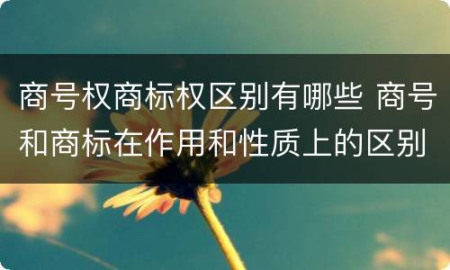 商号权商标权区别有哪些 商号和商标在作用和性质上的区别