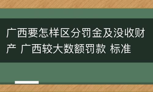 广西要怎样区分罚金及没收财产 广西较大数额罚款 标准