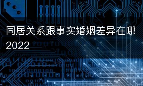 同居关系跟事实婚姻差异在哪2022