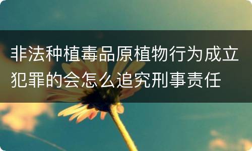 非法种植毒品原植物行为成立犯罪的会怎么追究刑事责任