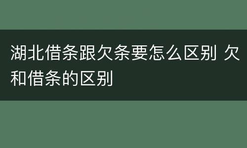 湖北借条跟欠条要怎么区别 欠和借条的区别