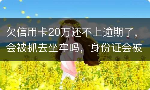 欠信用卡20万还不上逾期了，会被抓去坐牢吗，身份证会被封吗