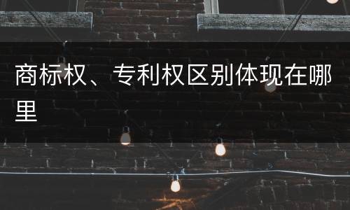 商标权、专利权区别体现在哪里