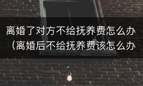 离婚了对方不给抚养费怎么办（离婚后不给抚养费该怎么办）