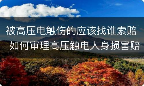 被高压电触伤的应该找谁索赔 如何审理高压触电人身损害赔偿案件