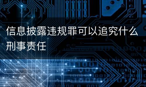 信息披露违规罪可以追究什么刑事责任